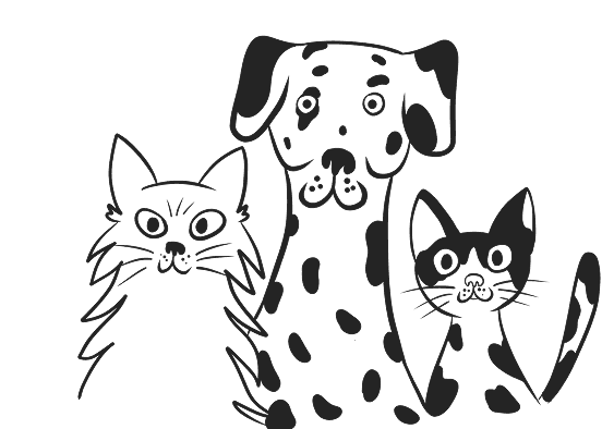 our pets